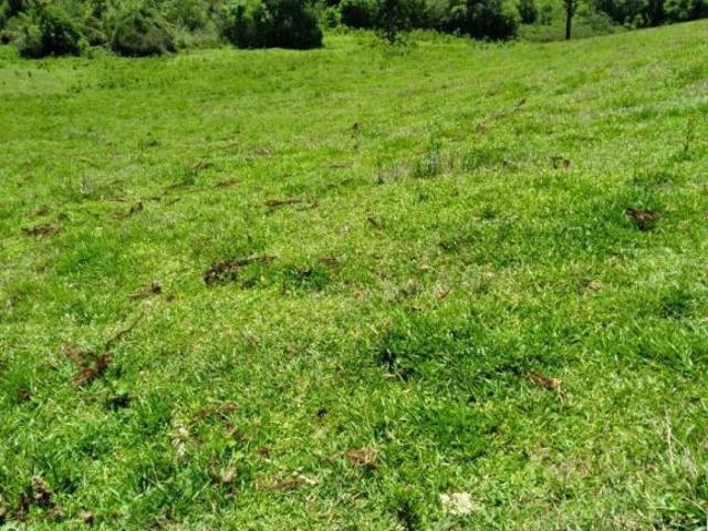 Sítio e chácara venda em Região Geográfica Imediata de Pouso Alegre, Camanducaia