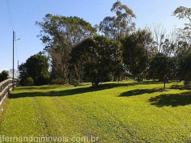 Sítio e chácara venda em Região Geográfica Imediata de Montenegro, Região Metropolitana de Porto Alegre