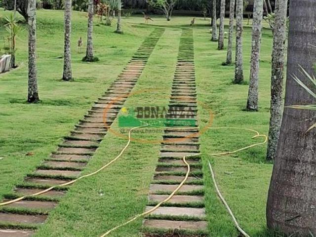 Sítio e chácara venda em Conselheiro Lafaiete, Região Geográfica Intermediária de Juiz de Fora