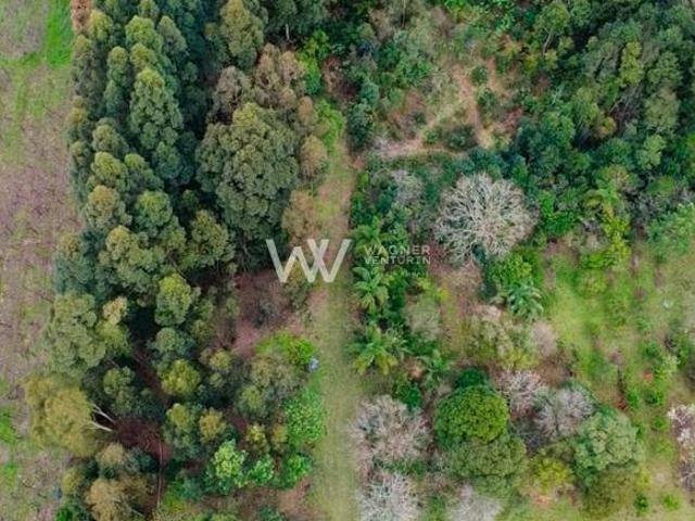 Sítio e chácara venda em Região Geográfica Imediata de Caxias do Sul, Caxias do Sul