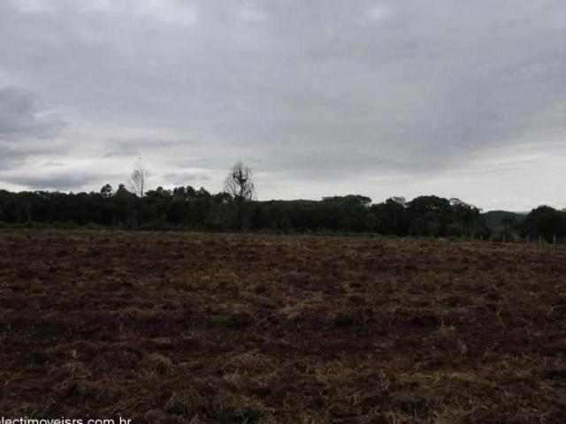 Sítio e chácara venda em Região Geográfica Imediata de Novo Hamburgo - São Leopoldo, Região Metropolitana de Porto Alegre