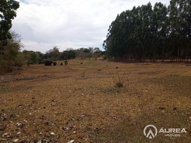 Sitio venda em Nova Veneza, Jardim Dom Fernando I