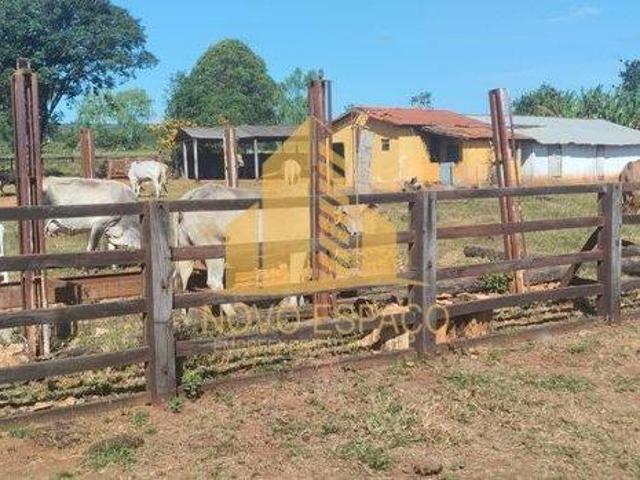 Sítio e chácara venda em Região Geográfica Imediata de Montes Claros, Olhos-d'Água