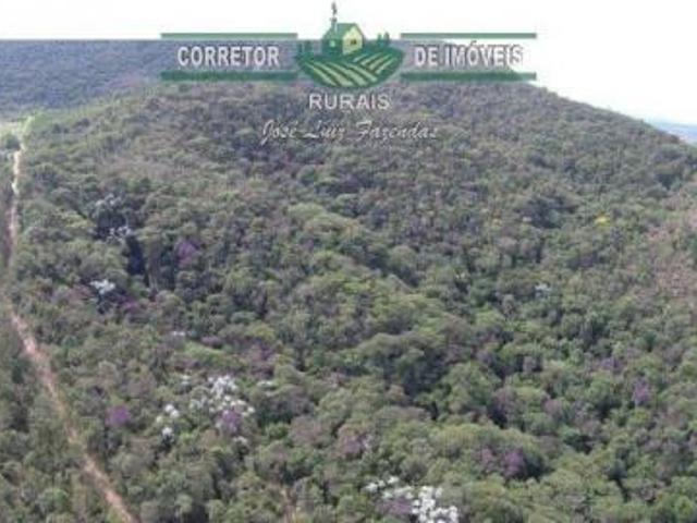 Sítio e chácara venda em Região Geográfica Imediata de São Lourenço, Olímpio Noronha