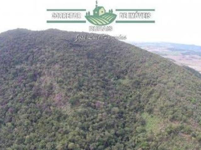 Sítio e chácara venda em Região Geográfica Imediata de São Lourenço, Olímpio Noronha