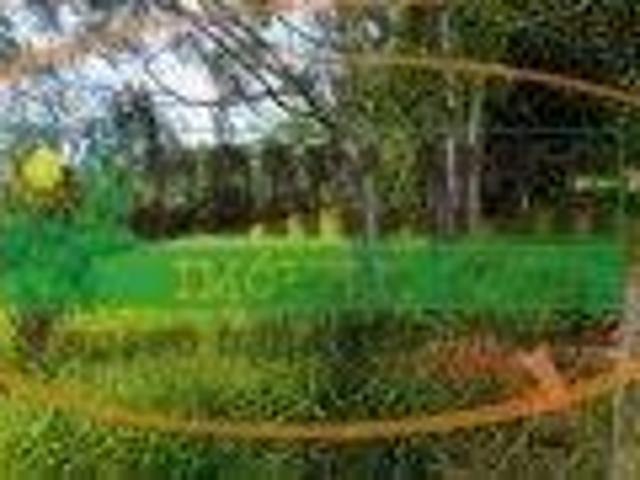 Sítio e chácara venda em Região Geográfica Imediata de Oliveira, Oliveira