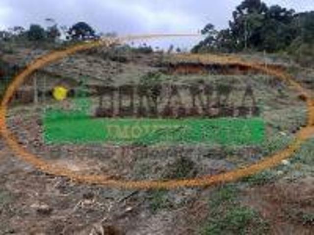 Sítio e chácara venda em Região Geográfica Imediata de Santa Bárbara - Ouro Preto, Ouro Preto
