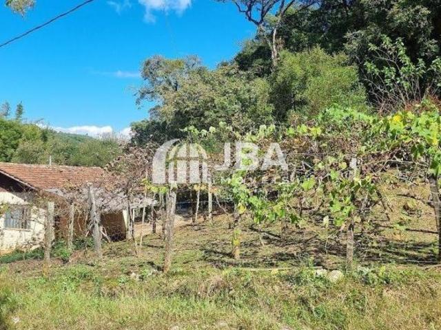 Sítio e chácara venda em Região Geográfica Imediata de Curitiba, Região Metropolitana de Curitiba