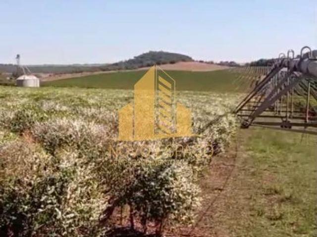 Sítio e chácara venda em Região Geográfica Imediata de Patos de Minas, Patos de Minas
