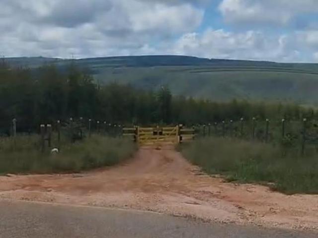 Sítio e chácara venda em Pedra Azul, Região Sudeste