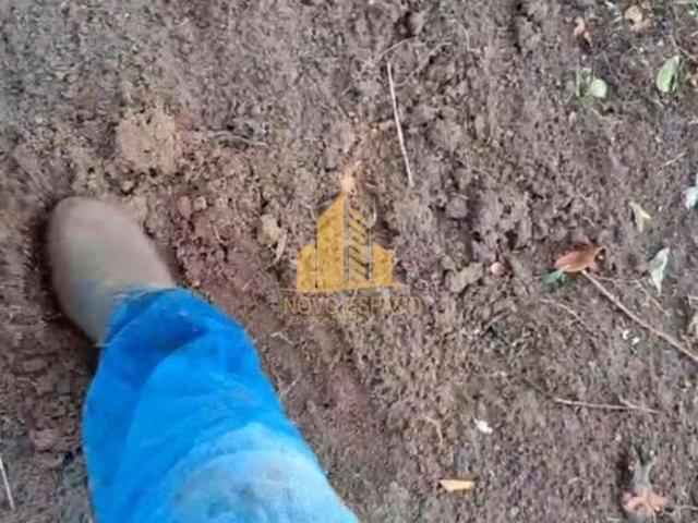 Sítio e chácara venda em Pedra Azul, Região Sudeste
