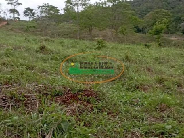 Sítio e chácara venda em Piranga, Região Geográfica Intermediária de Juiz de Fora