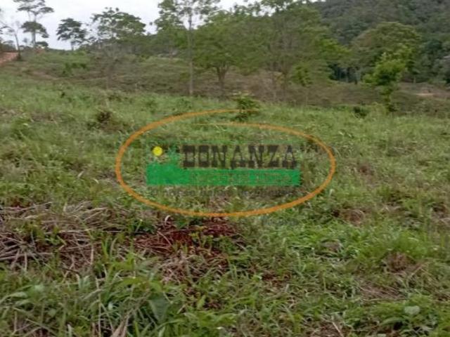 Sítio e chácara venda em Região Geográfica Imediata de Conselheiro Lafaiete, Piranga