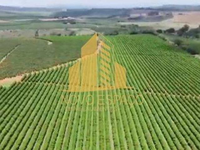 Sítio e chácara venda em Região Geográfica Imediata de Piumhi, Jerumenha