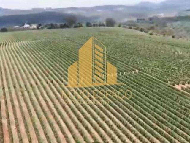 Sítio e chácara venda em Região Geográfica Imediata de Piumhi, Jerumenha