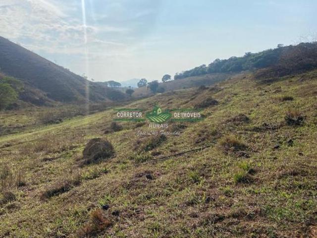 Sítio e chácara venda em Região Geográfica Imediata de São Lourenço, Pouso Alto
