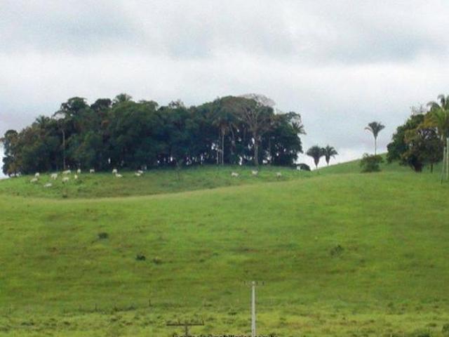 Sítio e chácara venda em Registro, Região Geográfica Intermediária de Sorocaba