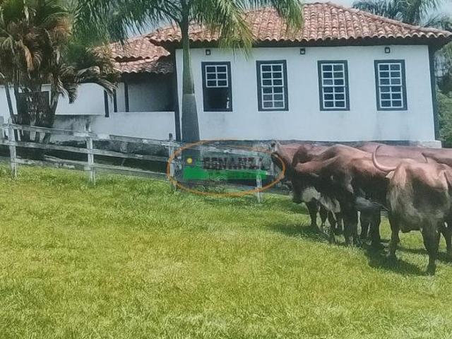 Sítio e chácara venda em Resende Costa, Região Geográfica Intermediária de Juiz de Fora