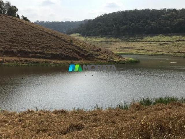 Sítio e chácara venda em Região Geográfica Imediata de Ponte Nova, Rio Casca