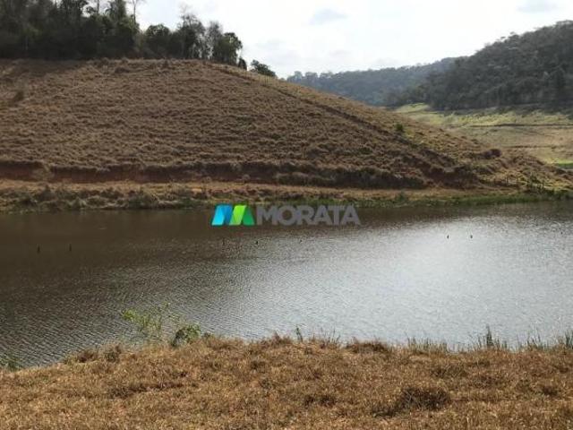 Sítio e chácara venda em Região Geográfica Imediata de Ponte Nova, Rio Casca