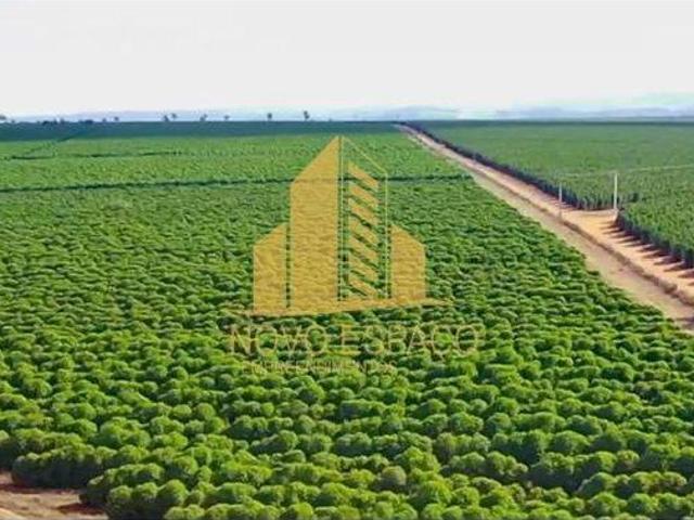 Sítio e chácara venda em Região Geográfica Imediata de Patos de Minas, Rio Paranaíba