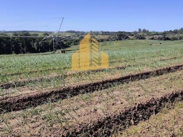 Sítio e chácara venda em Região Geográfica Imediata de Patos de Minas, Rio Paranaíba