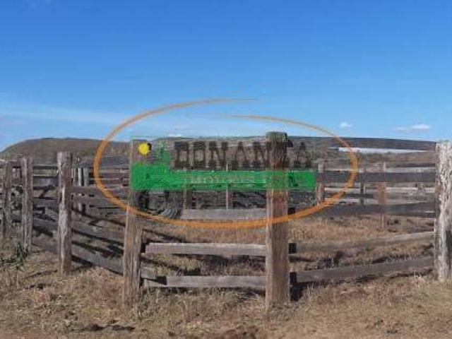 Sítio e chácara venda em Ritápolis, Região Geográfica Intermediária de Juiz de Fora