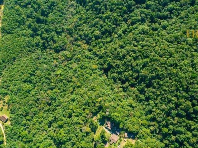 Sítio e chácara venda em Região Geográfica Imediata de Curitiba, Região Metropolitana de Curitiba