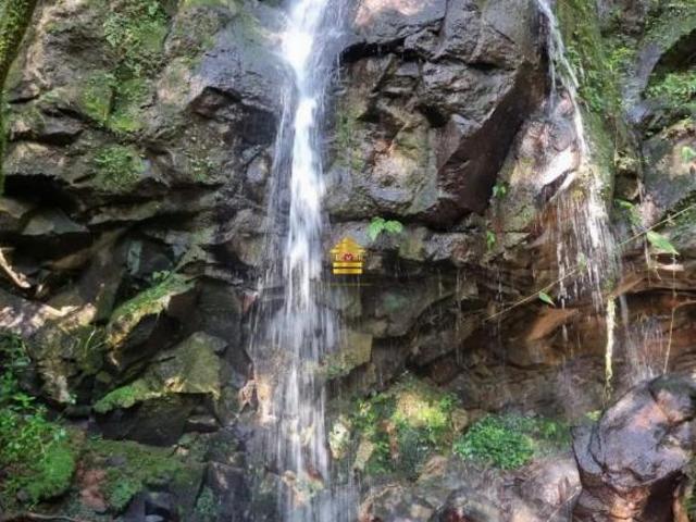 Sítio e chácara venda em Região Geográfica Imediata de Caxias do Sul, São Francisco de Paula