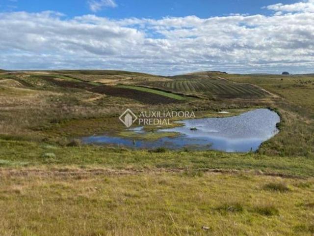 Sítio e chácara venda em Região Geográfica Imediata de Caxias do Sul, São Francisco de Paula