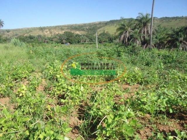 Sítio e chácara venda em Região Geográfica Imediata de Patos de Minas, São Gonçalo do Abaeté