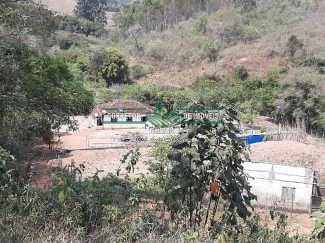 Sítio e chácara venda em Região Geográfica Imediata de São Lourenço, Conceição do Rio Verde