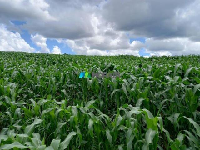 Sítio e chácara venda em Região Geográfica Imediata de São João del Rei, São Tiago