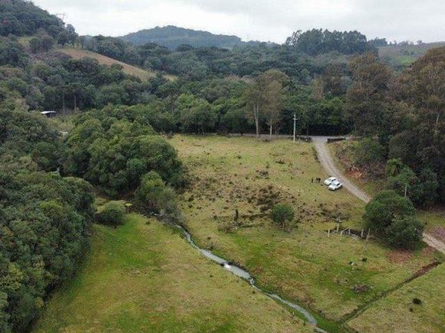 Sítio e chácara venda em Região Geográfica Imediata de Bento Gonçalves, Bento Gonçalves
