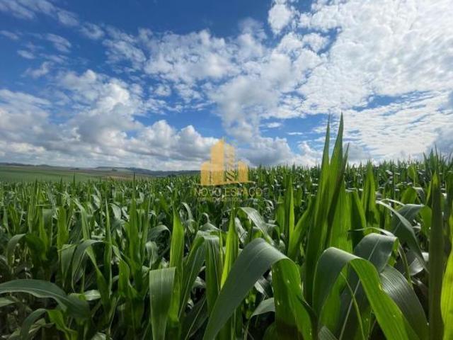 Sítio e chácara venda em Região Geográfica Imediata de Uberaba, Sacramento