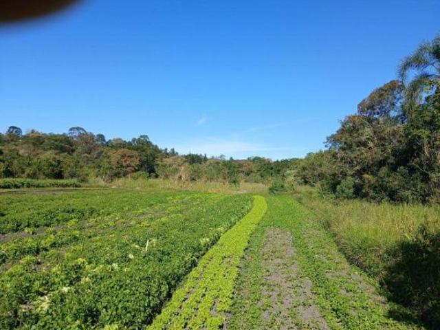 Sítio e chácara venda em Salesópolis