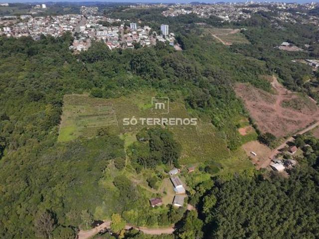 Sítio e chácara venda em Região Geográfica Imediata de Caxias do Sul, Caxias do Sul