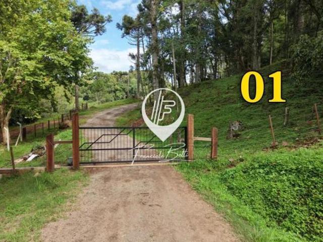Sítio e chácara venda em Região Geográfica Imediata de Santa Cruz do Sul, Santa Cruz do Sul