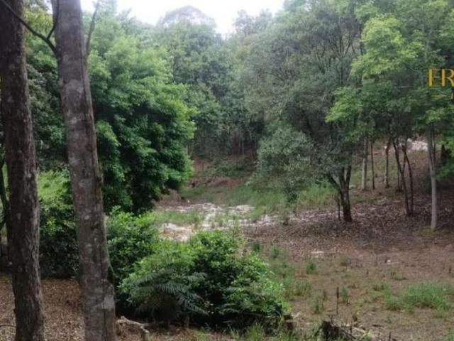 Sítio e chácara venda em Região Geográfica Imediata de Curitiba, Região Metropolitana de Curitiba