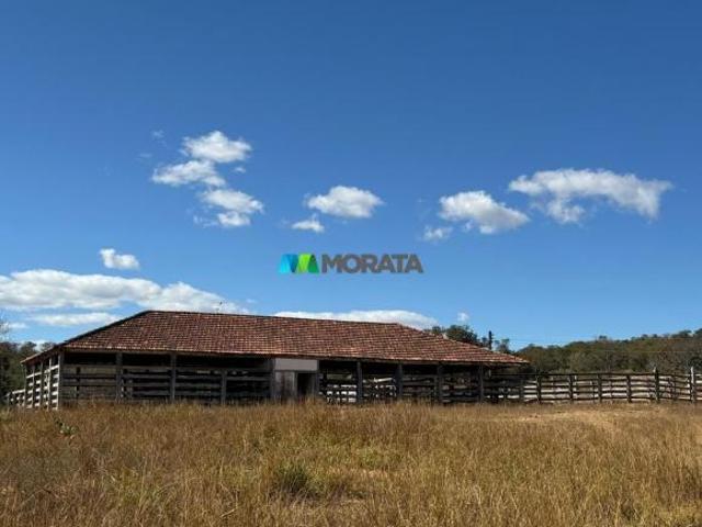 Sítio e chácara venda em Região Geográfica Imediata de Curvelo, Santo Hipólito