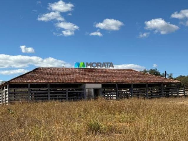 Sítio e chácara venda em Região Geográfica Imediata de Curvelo, Santo Hipólito