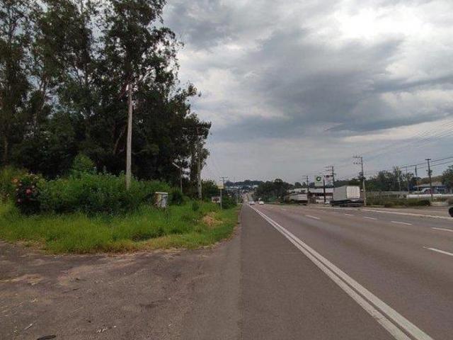 Sítio e chácara venda em Região Geográfica Imediata de Novo Hamburgo - São Leopoldo, Região Metropolitana de Porto Alegre