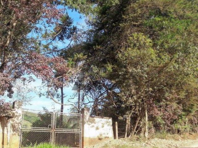 Sítio e chácara venda em Região Imediata de Amparo, Serra Negra