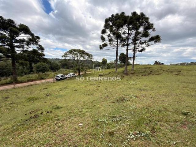 Sítio e chácara venda em Região Geográfica Imediata de Caxias do Sul, Caxias do Sul