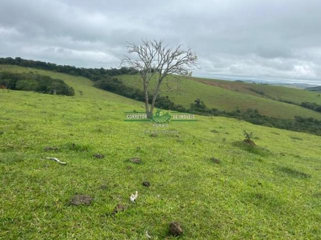 Sítio e chácara venda em Região Geográfica Imediata de Caxambu - Baependi, Aiuruoca
