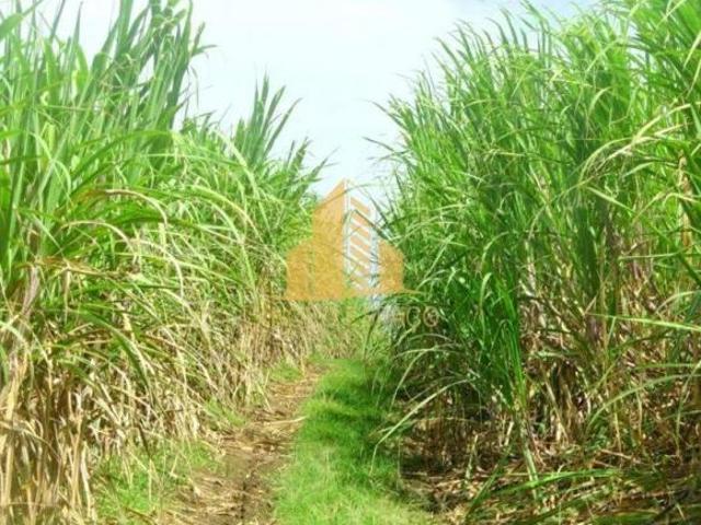 Sítio e chácara venda em Região Geográfica Imediata de Uberlândia, Oliveira Fortes