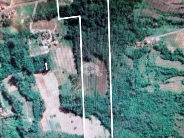 Sítio e chácara venda em Região Geográfica Imediata de Santa Cruz do Sul, Venancio Aires