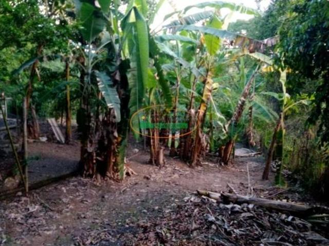 Sítio e chácara venda em Regional Vianópolis, Betim