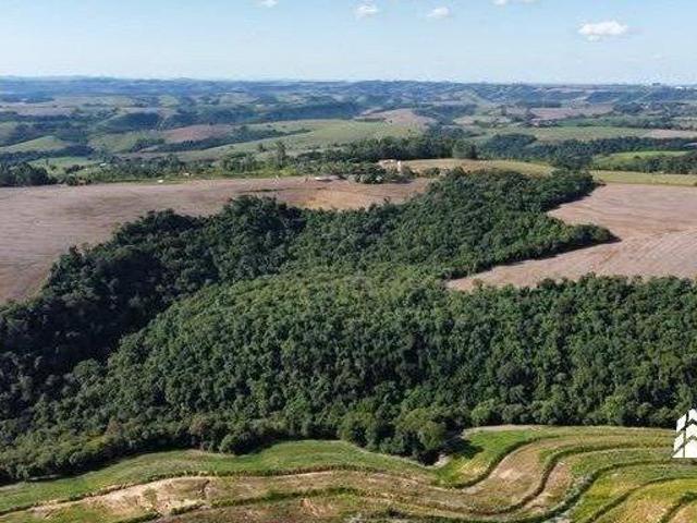 Sítio e chácara venda em Vila Matadouro, Wenceslau Braz