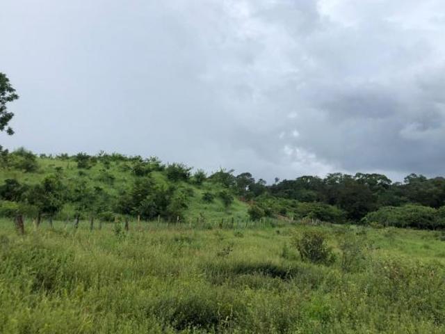 Sítio e chácara venda em Regional Centro-Sul, Belo Horizonte